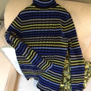 Jones New York Sport turtleneck